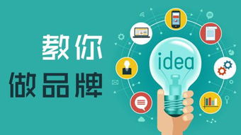 移動(dòng)互聯(lián)網(wǎng)時(shí)代的品牌傳播與研發(fā)維護(hù)策略